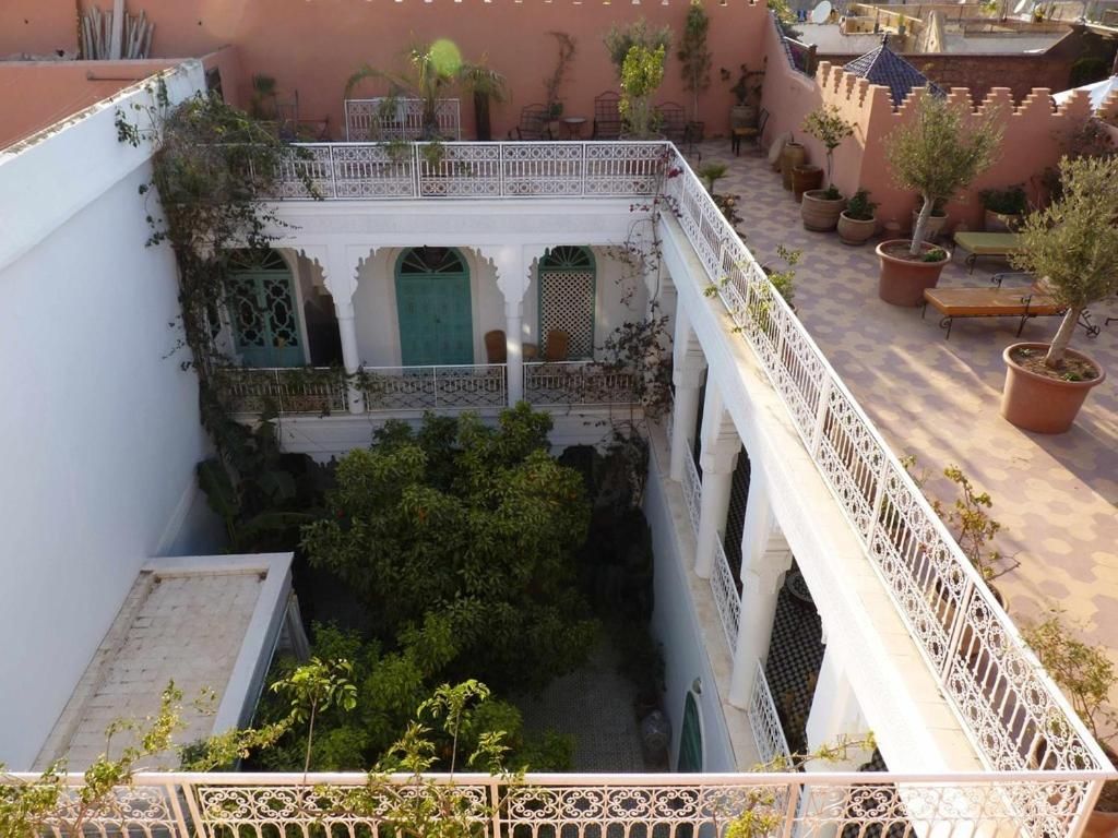 Riad Ifoulki фото 10