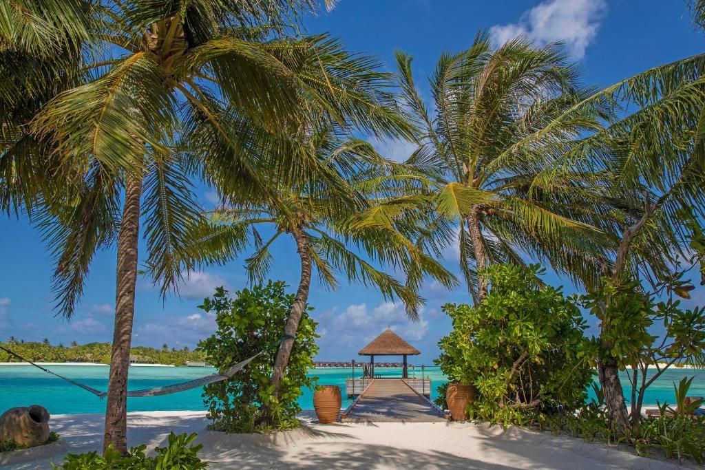 Naladhu Private Island Maldives фото 26