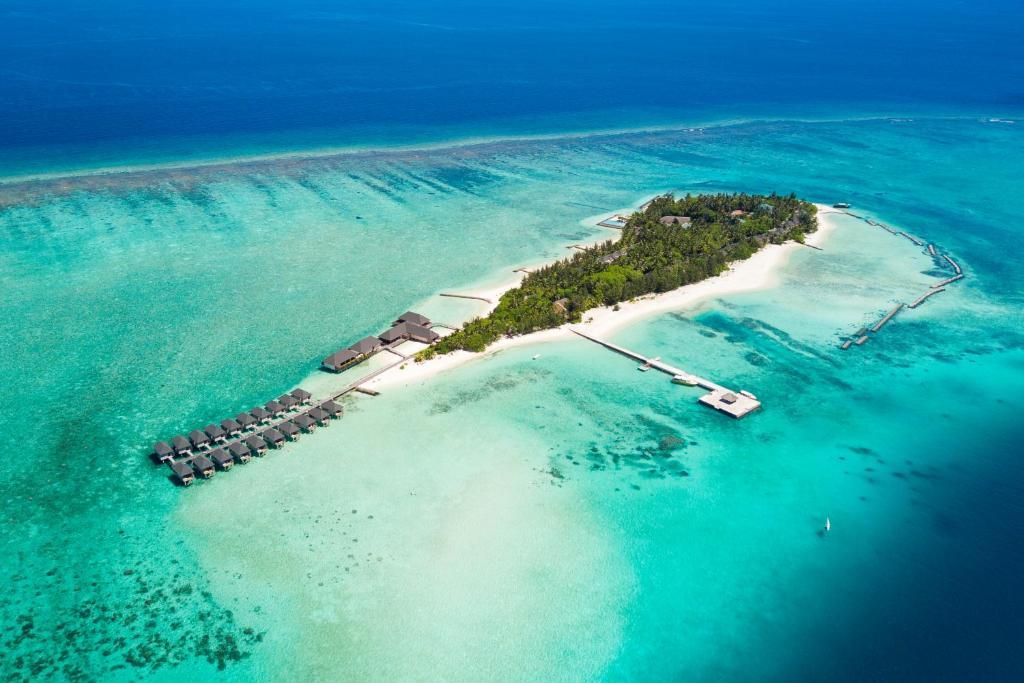 Summer Island Maldives фото 194