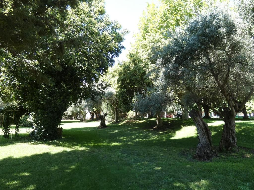 Los Olivos фото 7