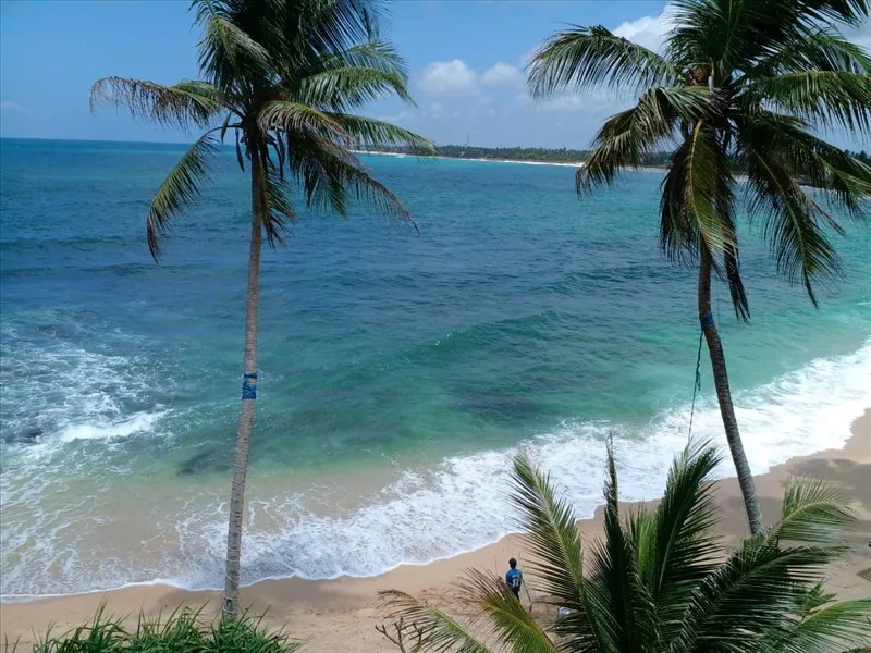 Cool Beach Hotel фото 12