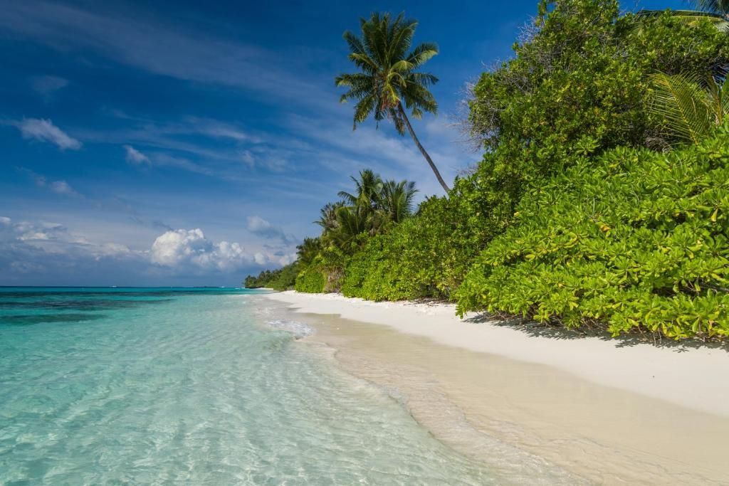 Guest House «Whitesand Dhigurah Guest House» фото 37