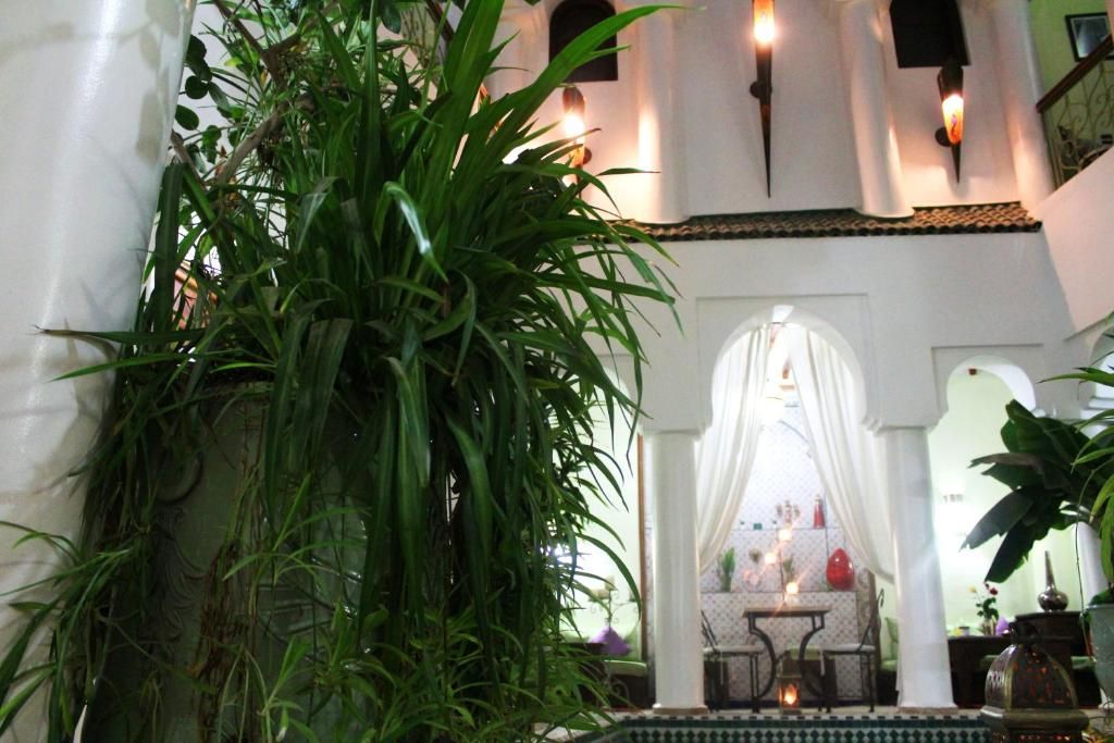 Riad Alida фото 9