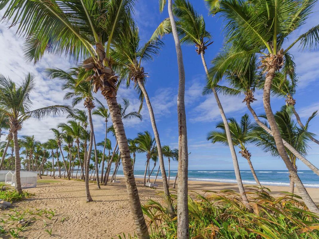 Le Sivory Punta Cana by PortBlue Boutique фото 6