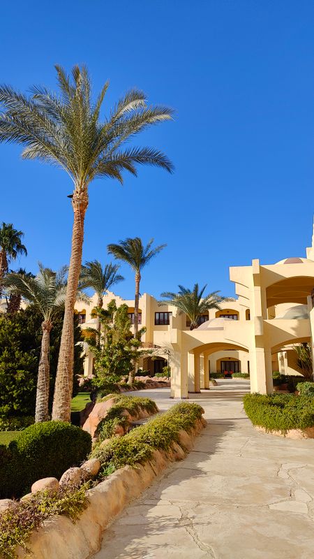 Sunny Days Palma De Mirette Resort & Spa фото 53