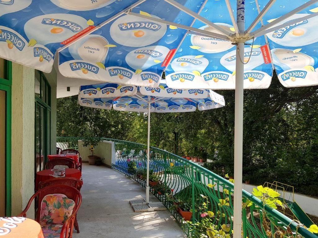 Zdravets фото 25