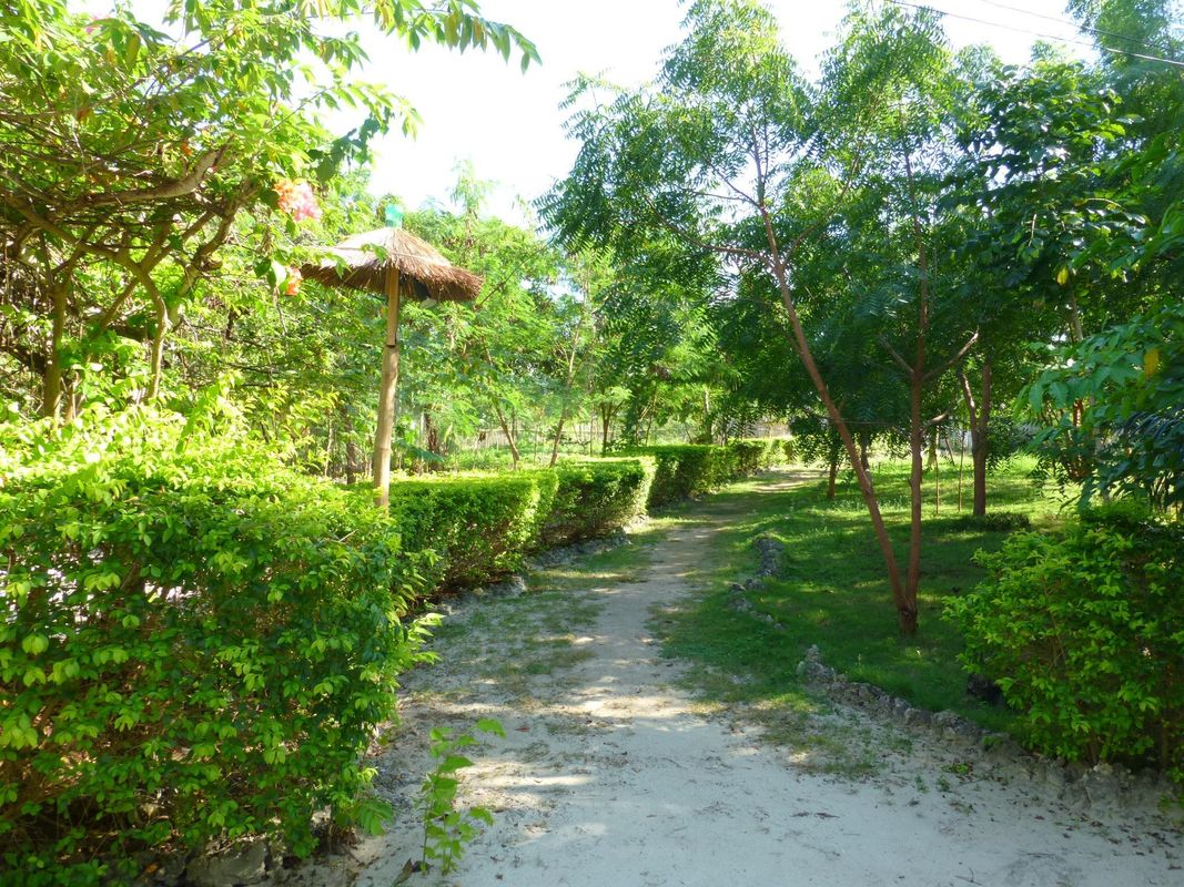 Talima Beach Villas & Dive Resort фото 54