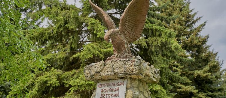 Фото отеля Центральный Детский Военный