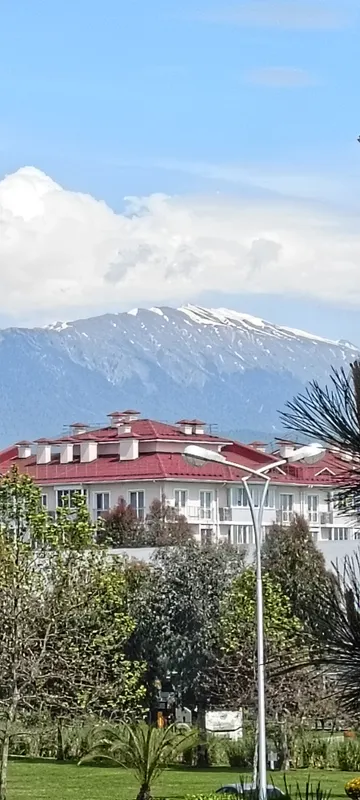 Бархатные сезоны, Спортивный квартал (уч.№ 17) фото 239