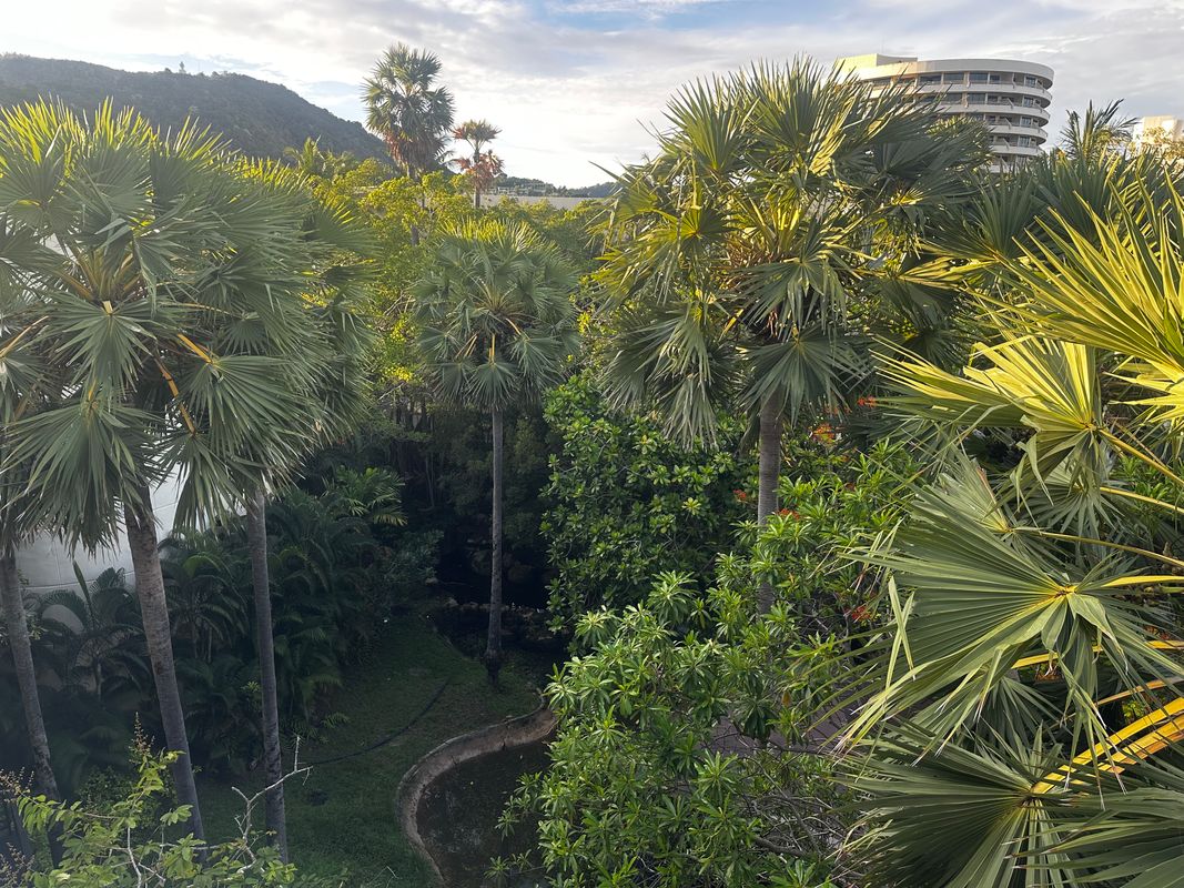 Pullman Phuket Karon Beach Resort фото 58