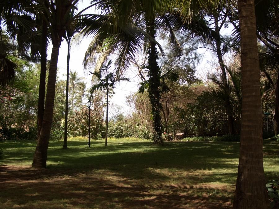 Vila Goesa Beach Resort фото 68