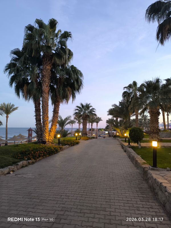 Queen Sharm Resort фото 85