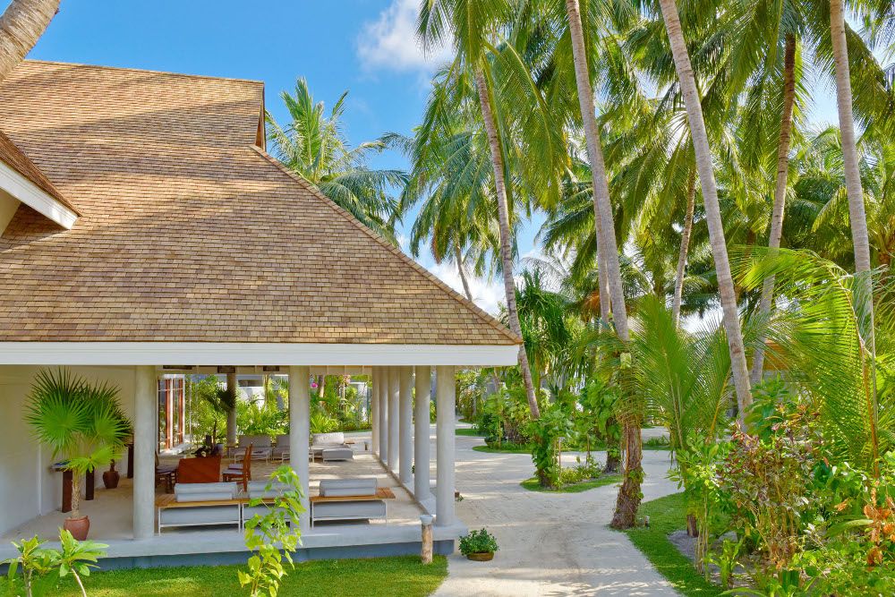 Niva Kuramathi Maldives фото 100