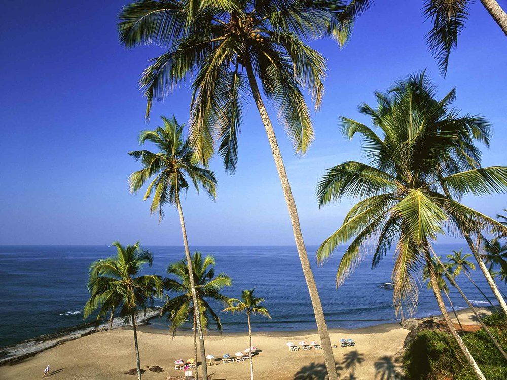 Novotel Goa Shrem Hotel фото 44