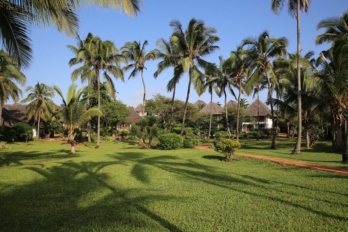 Bluebay Beach Resort & Spa фото 33