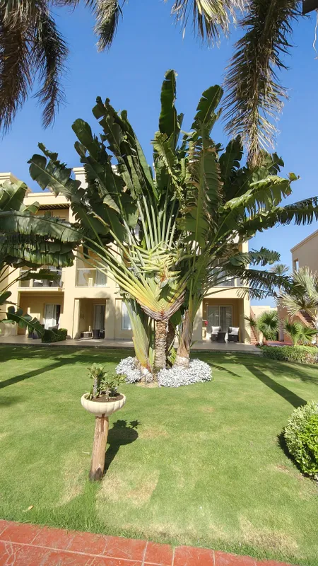 Rixos Sharm El Sheikh (Adults Only) фото 94