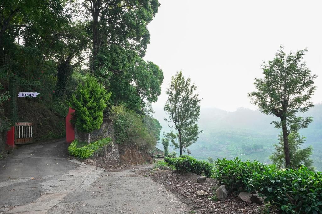 Tea Valley Resort фото 43