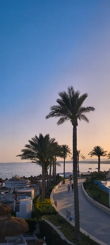 Sunrise Remal Beach фото 87