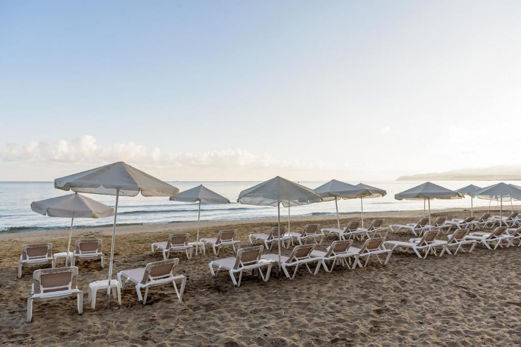 Zeus Hotels Palm Beach фото 26