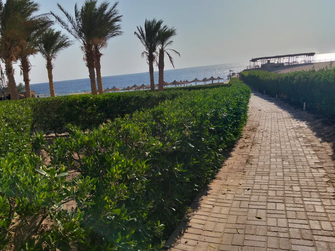 Viva Blue Resort & Diving Sharm El Naga (Adults Only) фото 22