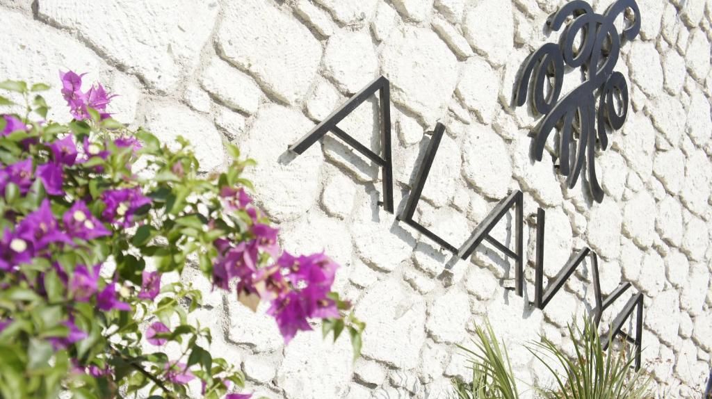 Alavya фото 23