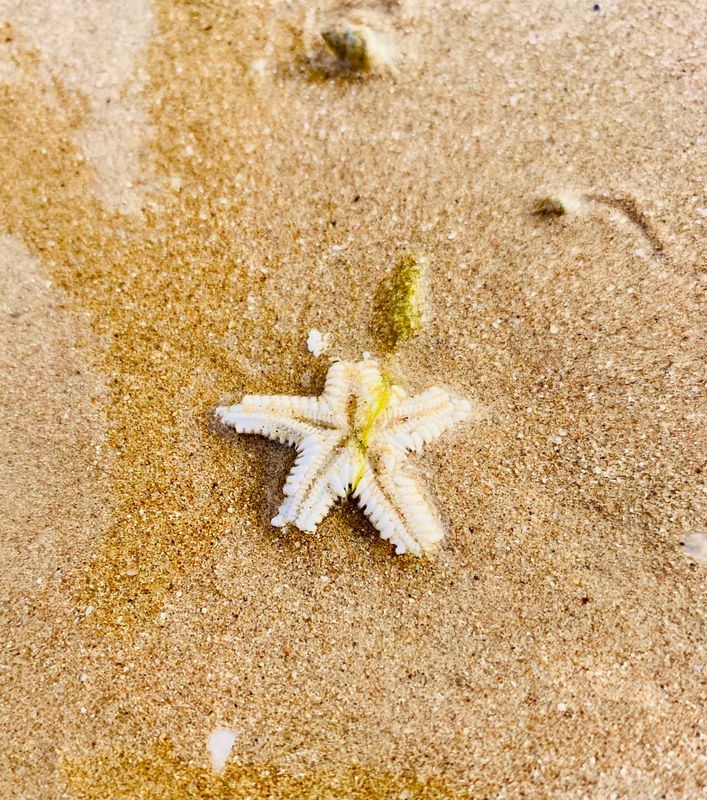 BM Beach Resort фото 71