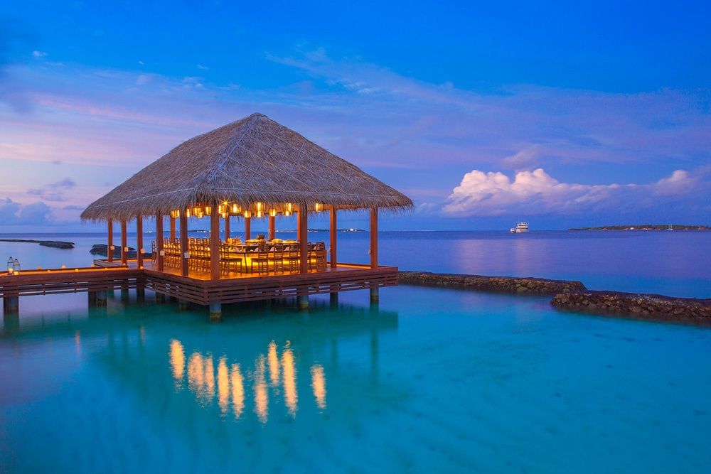 Niva Kurumba Maldives фото 101