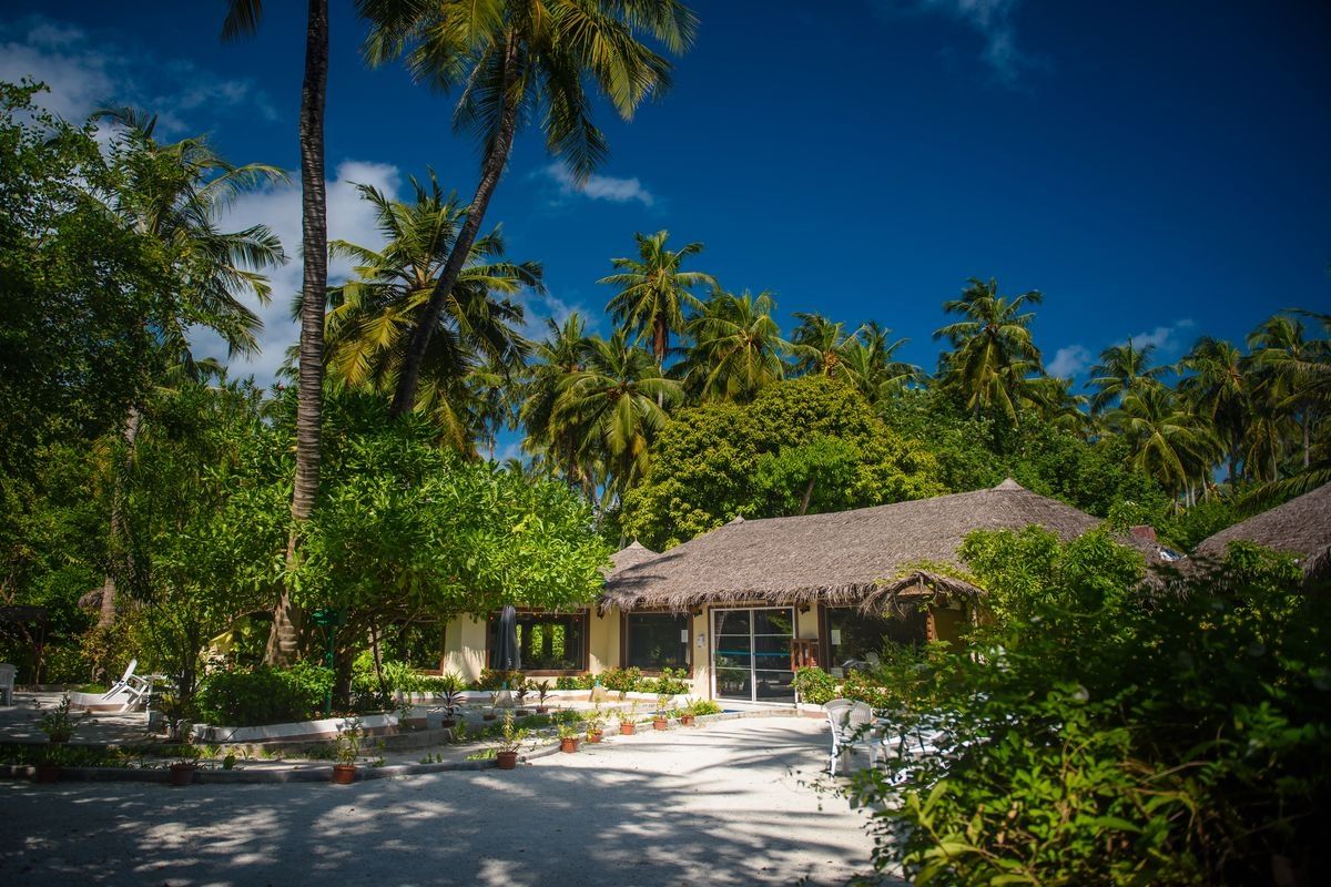 Biyadhoo Island Resort фото 6