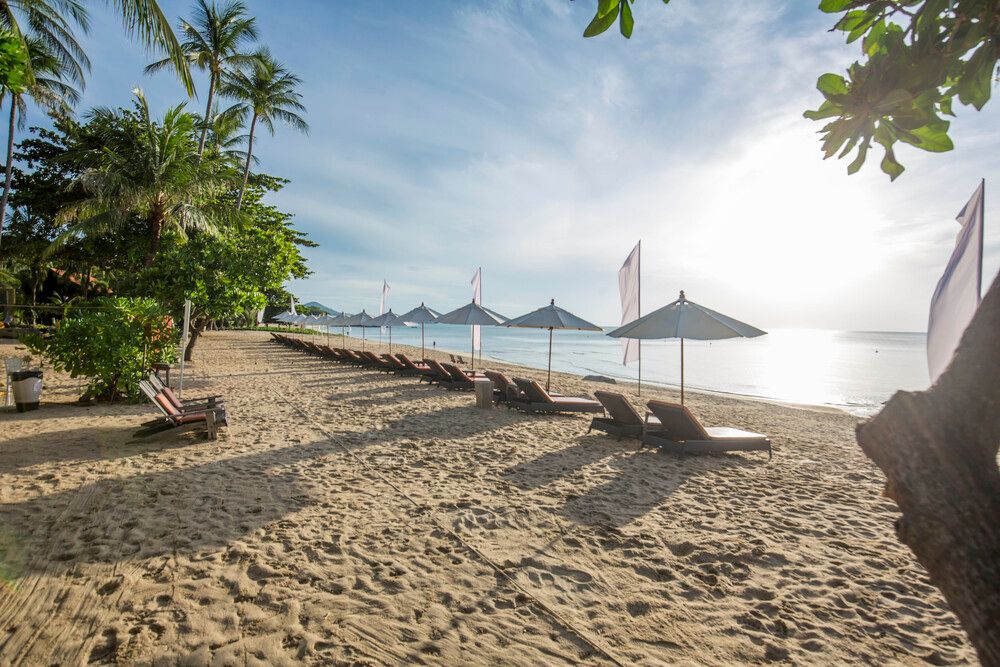 New Star Beach Resort фото 37