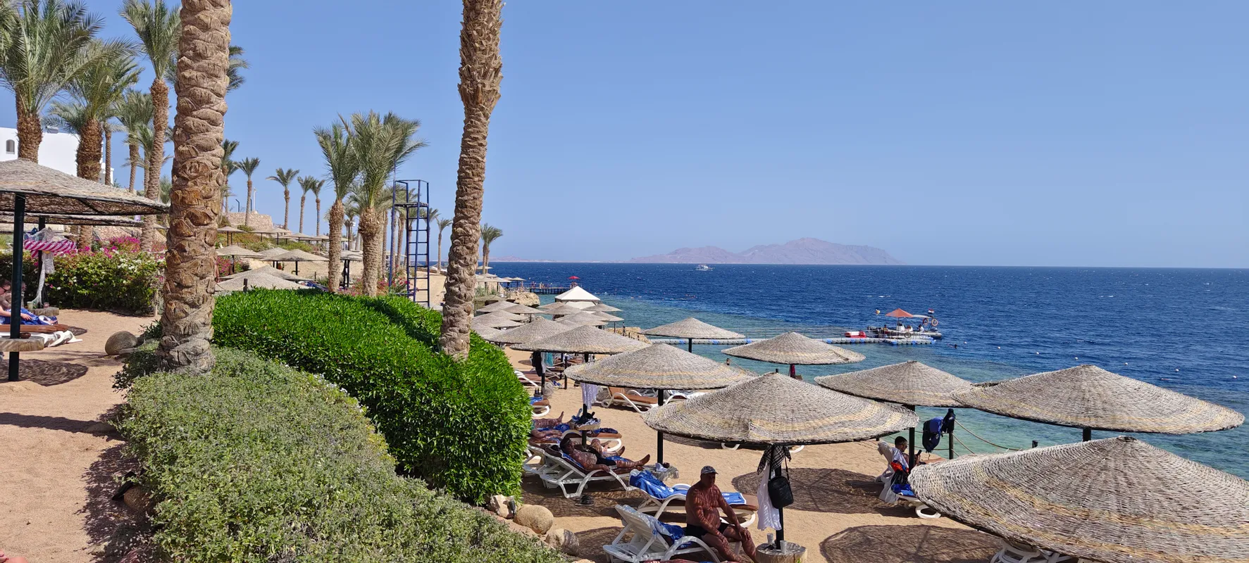Grand Rotana Resort & Spa фото 83