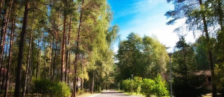 Фото отеля Чайка