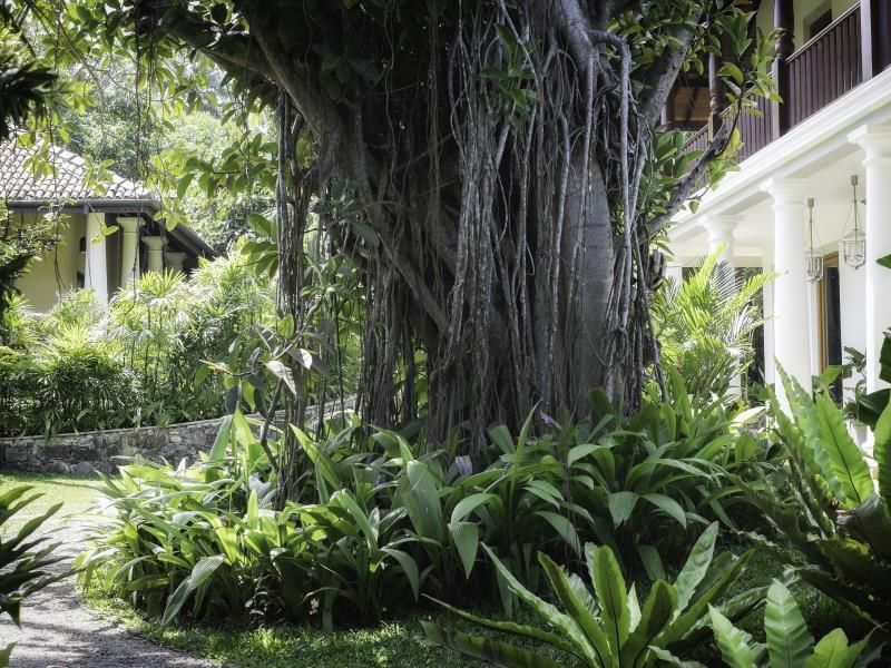 Eraeliya Villas & Gardens фото 32