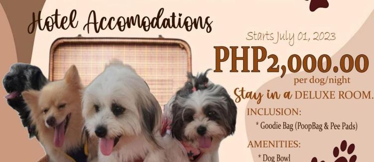 Фото отеля Paradise Garden Hotel and Convention Center