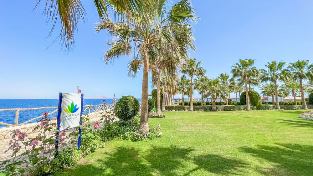 Sharm Club Beach Resort фото 203