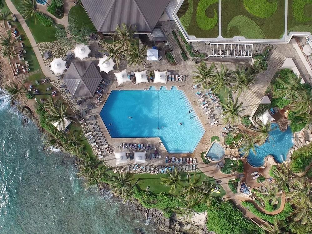 Turtle Bay Resort фото 15