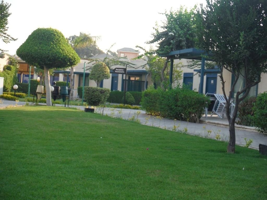 Cairo Pyramids Hotel фото 9