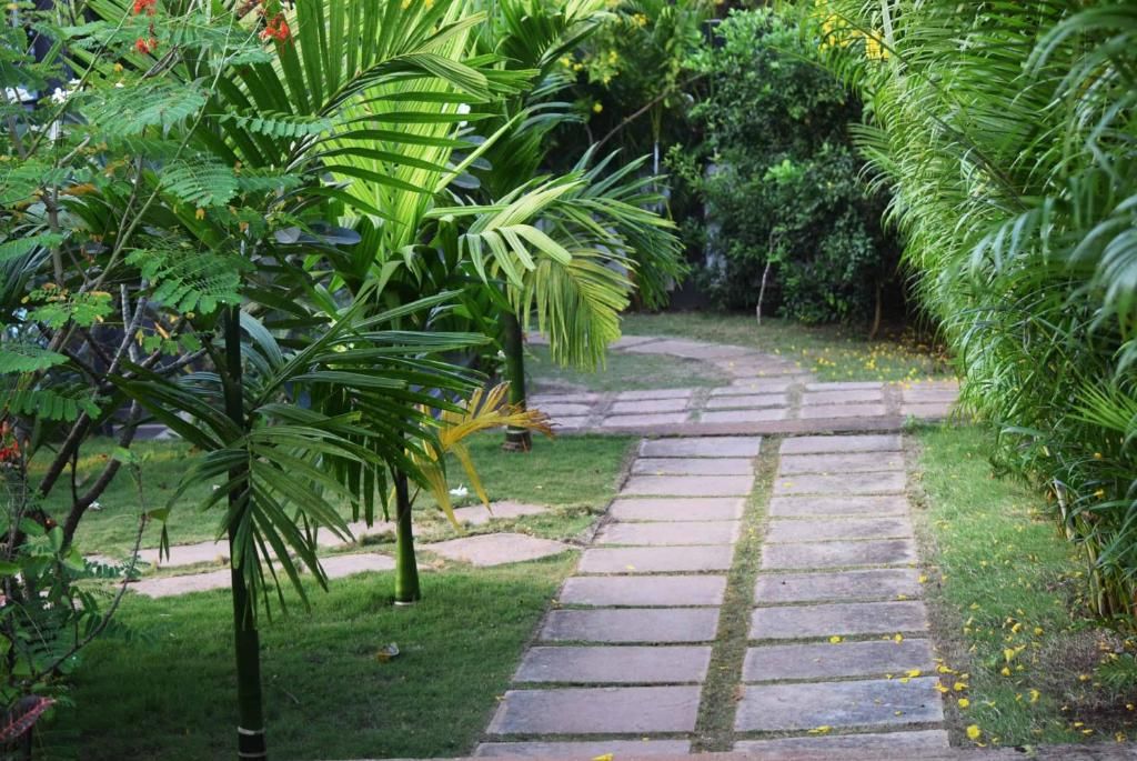 Vagator Retreat By Ashoka фото 11