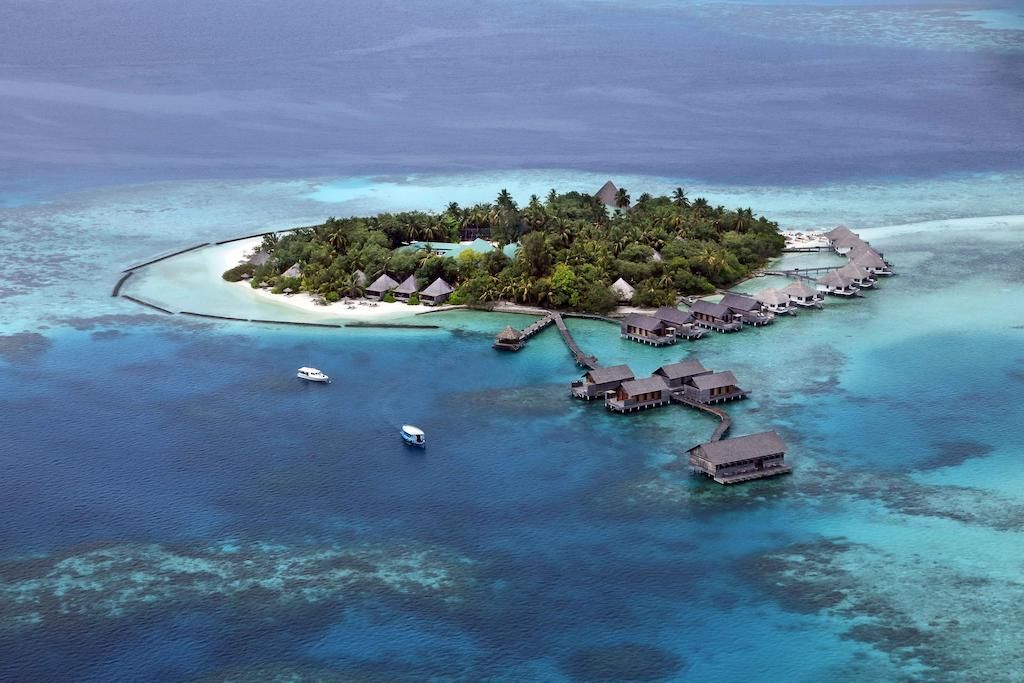 Gangehi Island Resort & Spa фото 31