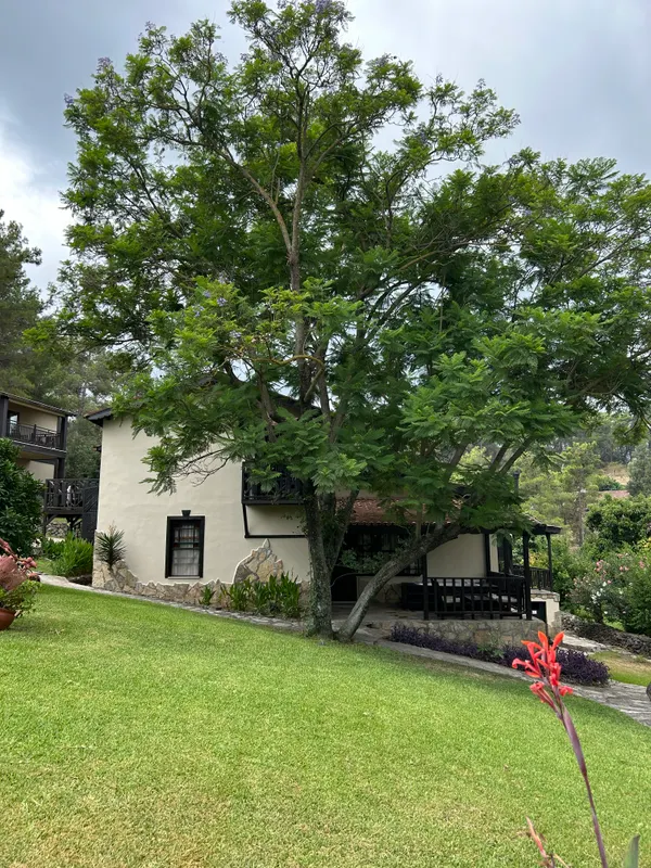 Beso Hotel Berke Ranch & Nature фото 48