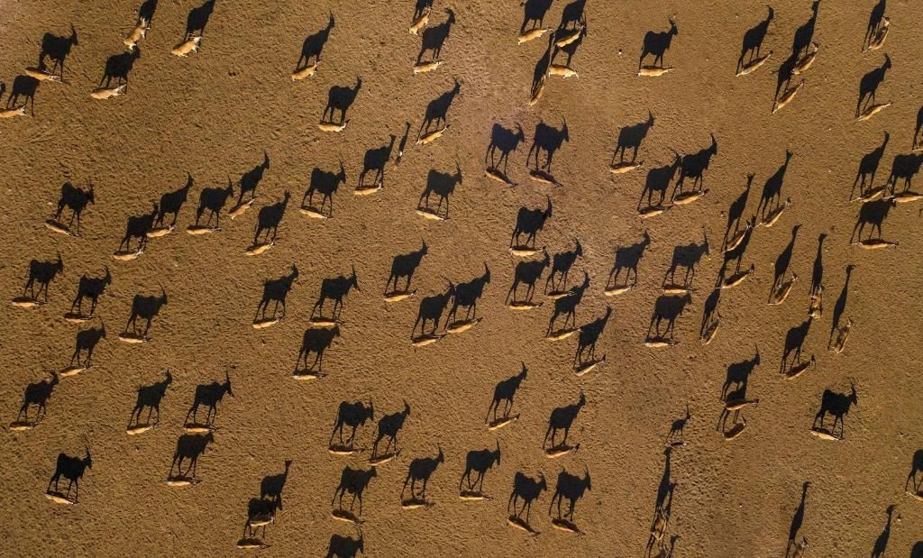 Desert Islands Resort & Spa by Anantara фото 36