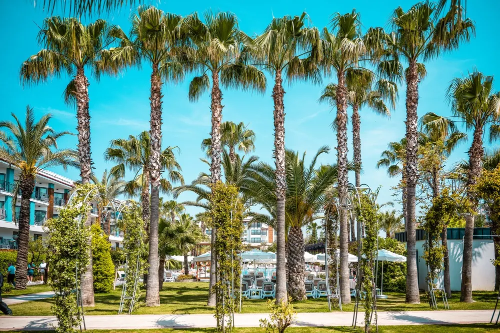 Belek Beach Resort Hotel фото 184