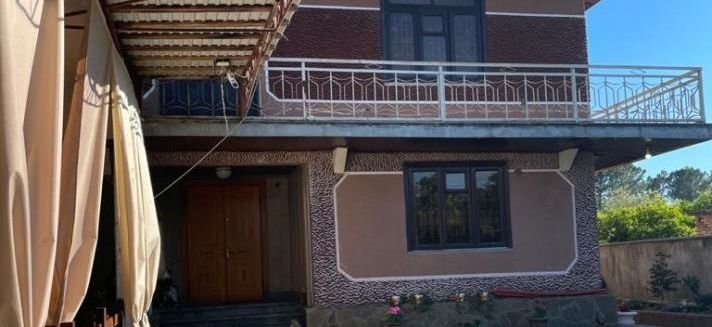 Фото отеля Гостевой дом «Элина»