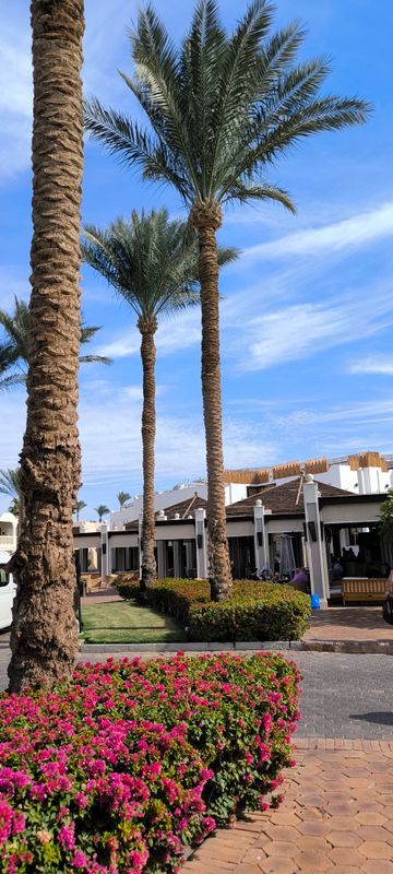 Reef Oasis Beach Resort фото 124