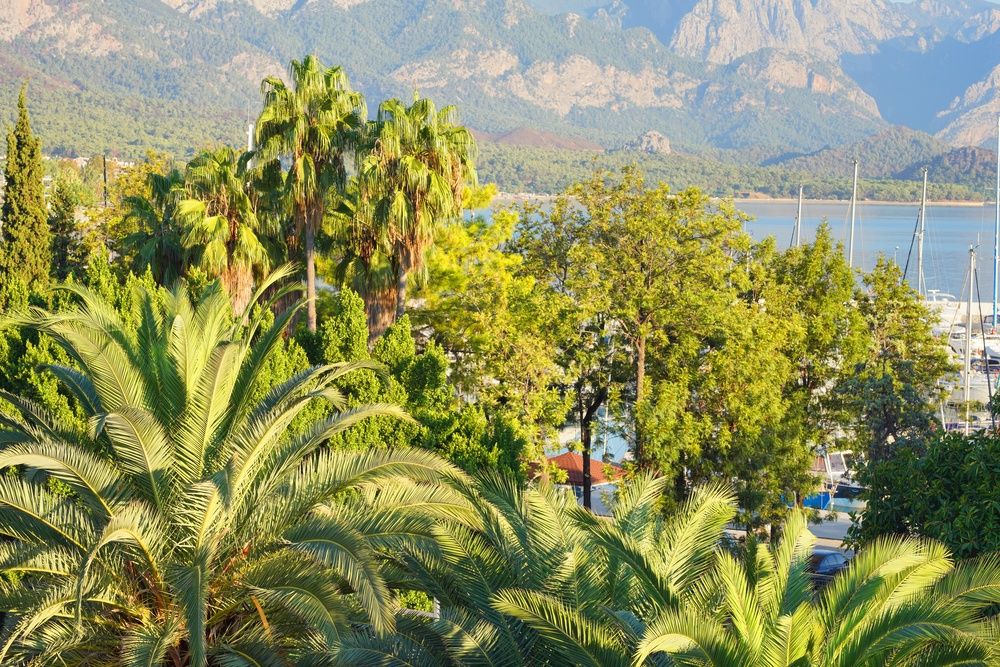 Ozkaymak Kemer Marina Hotel фото 62