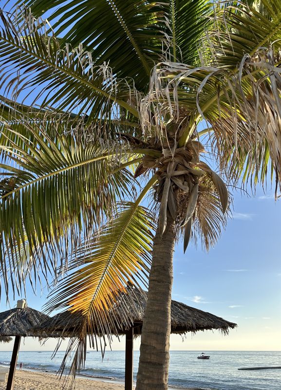 Le Meridien Al Aqah Beach Resort фото 105