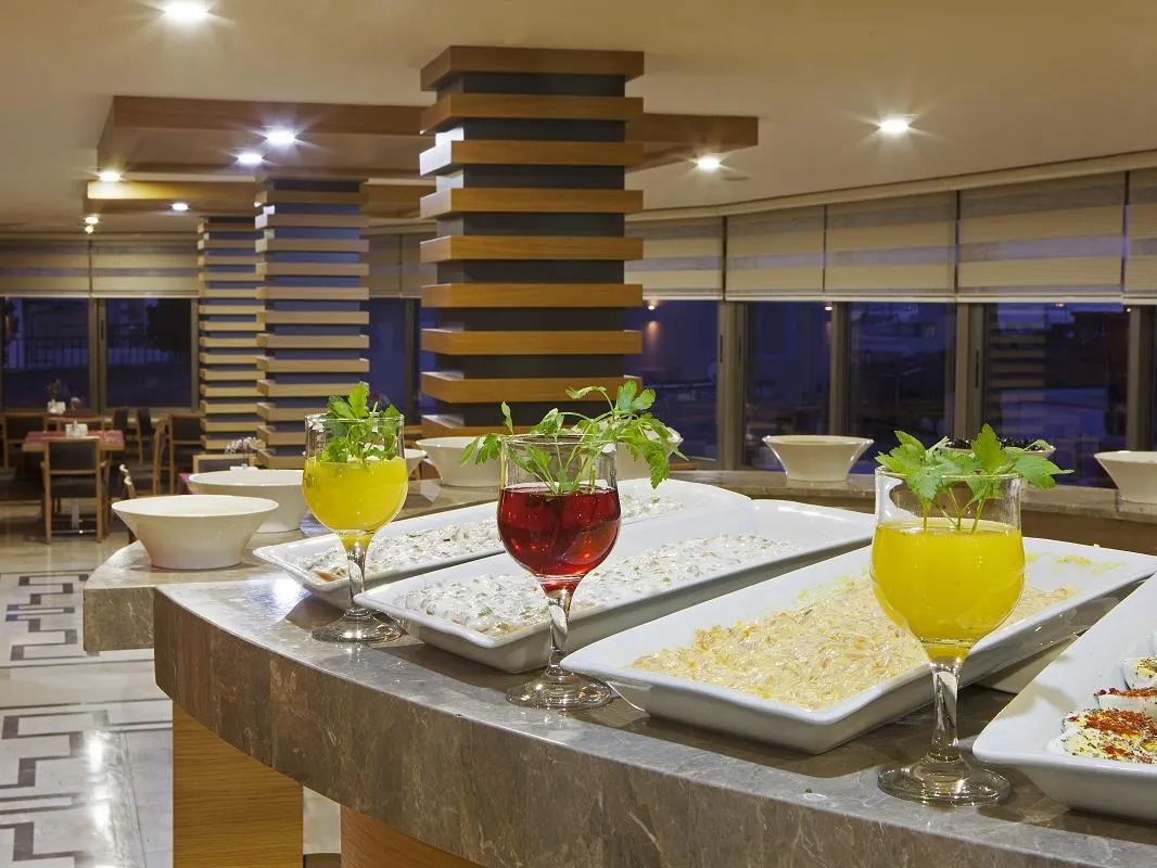 Delta Hotel Istanbul фото 15