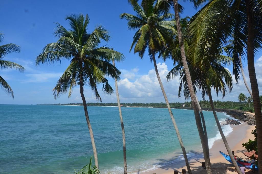 Cool Beach Hotel фото 14