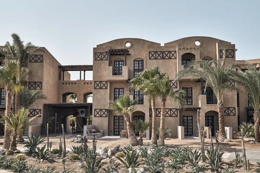 Cook's Club El Gouna (Adults Only) фото 9