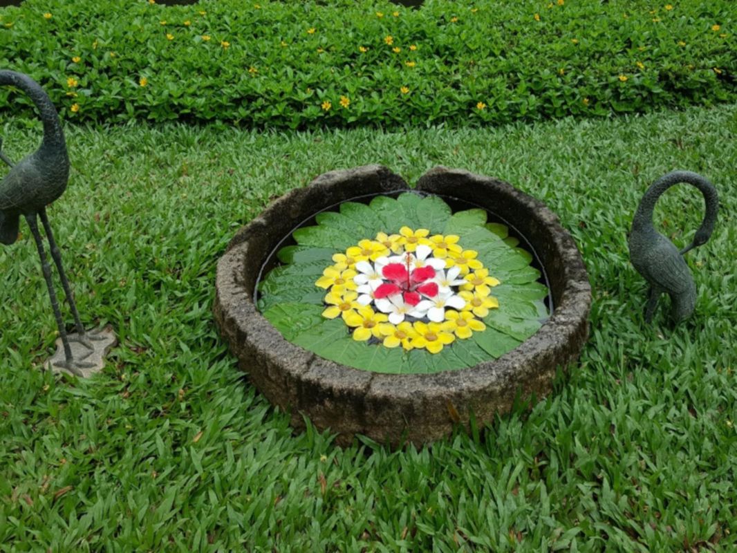 Kumarakom Lake Resort фото 6