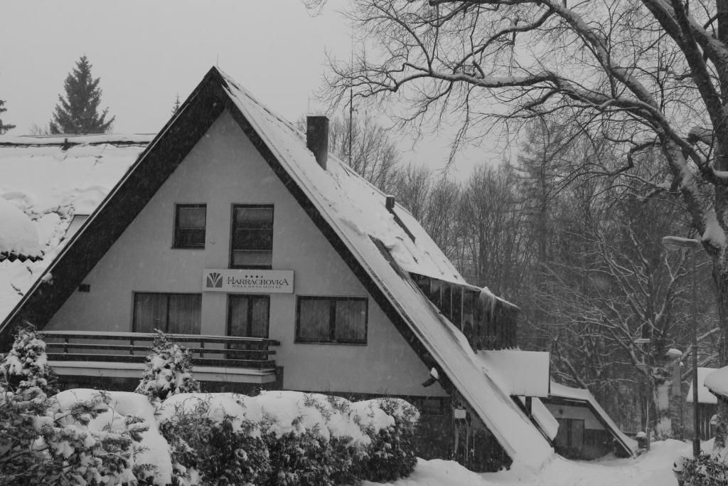 Harrachovka Spa & Wellness фото 20